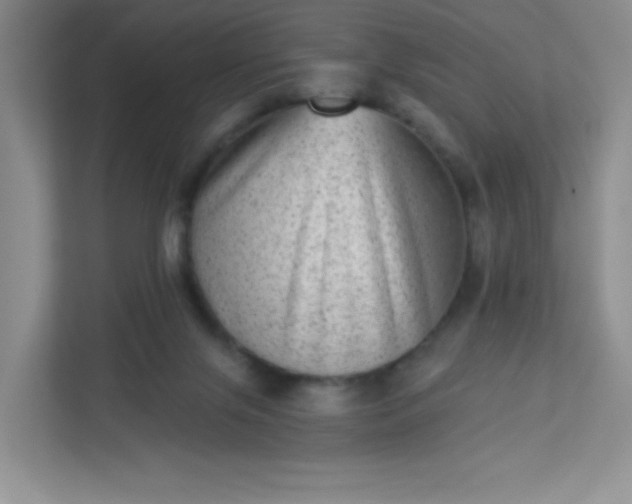 X0000113320071200909281216