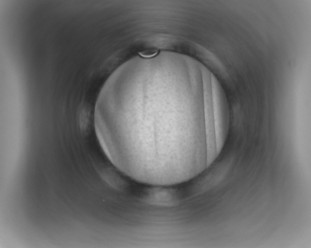 X0000113320073200909281216