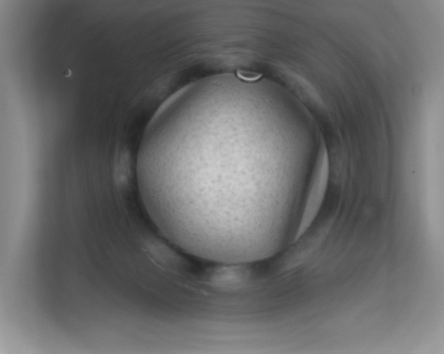 X0000113320077200909281216