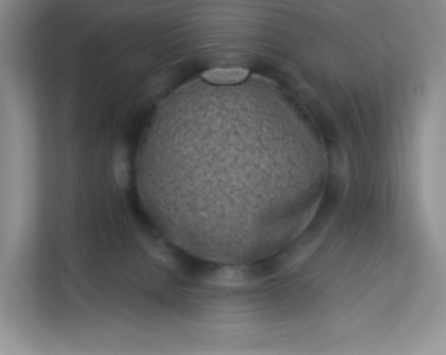 X0000113320080200909281216