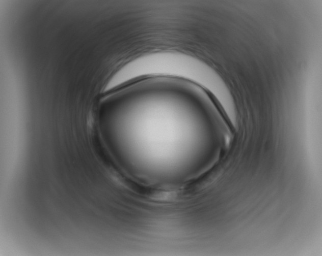 X0000113320084200909281216