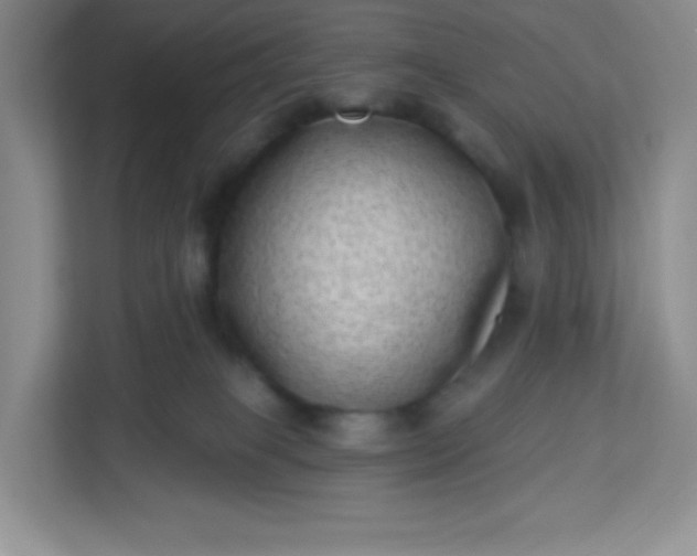 X0000113320085200909281216