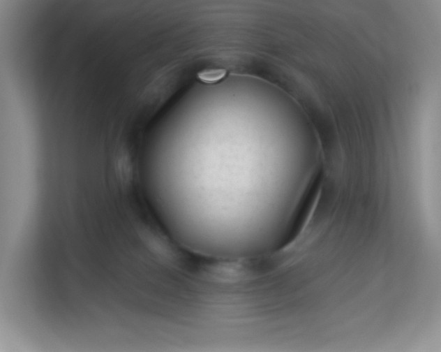 X0000113320086200909281216