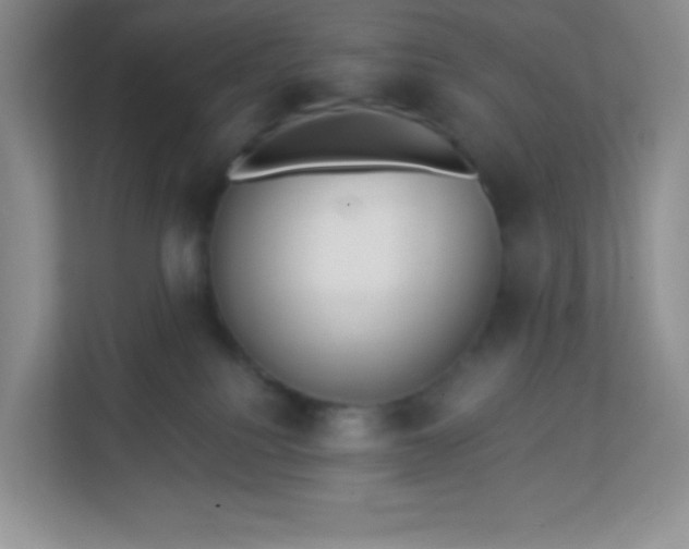 X0000113320088200909281216