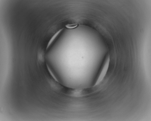 X0000113320090200909281216