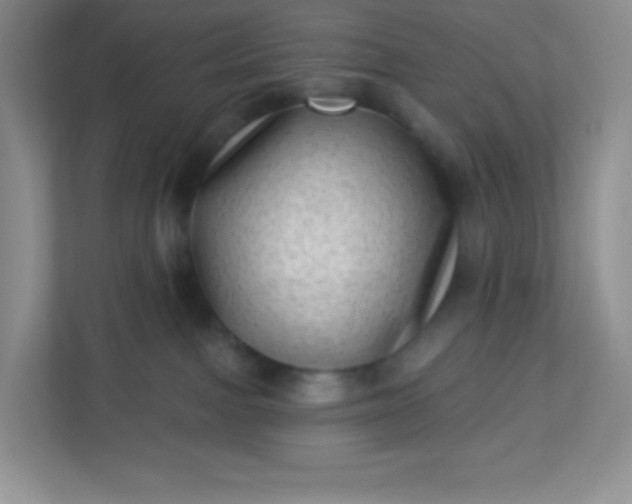 X0000113320091200909281216