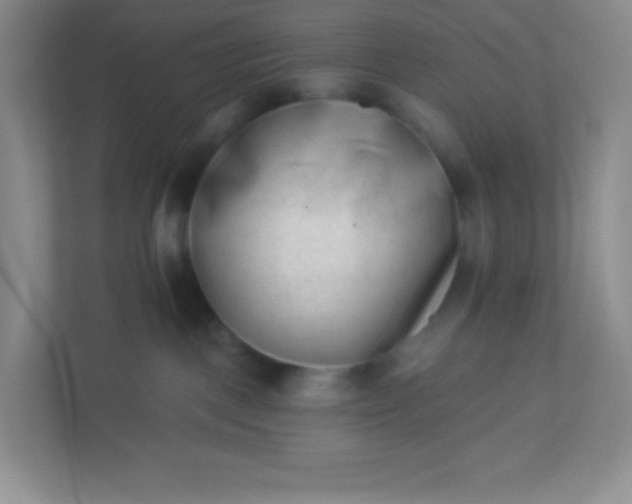 X0000113320093200909281216