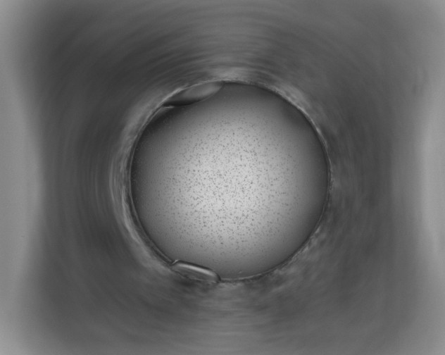 X0000113320097200909281215