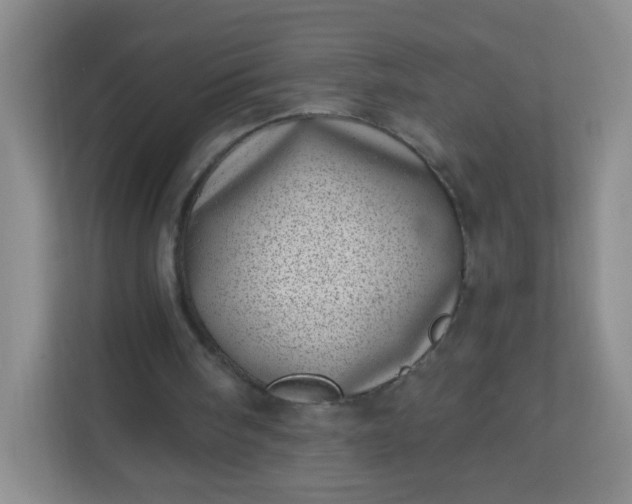 X0000113320098200909281215