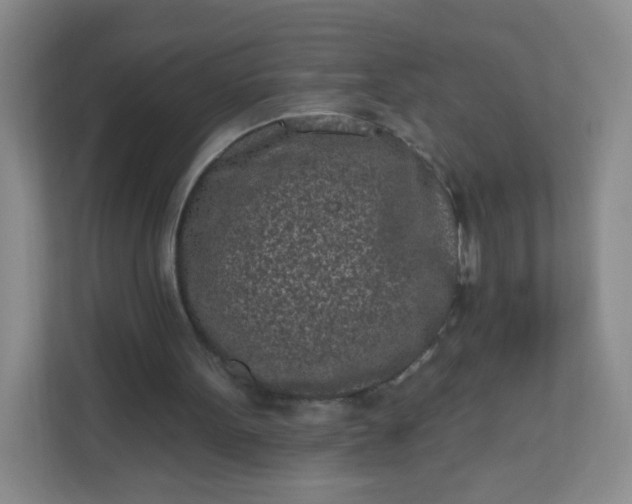 X0000113320099200909281215