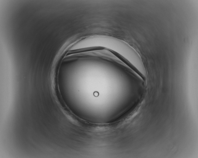 X0000113320101200909281215