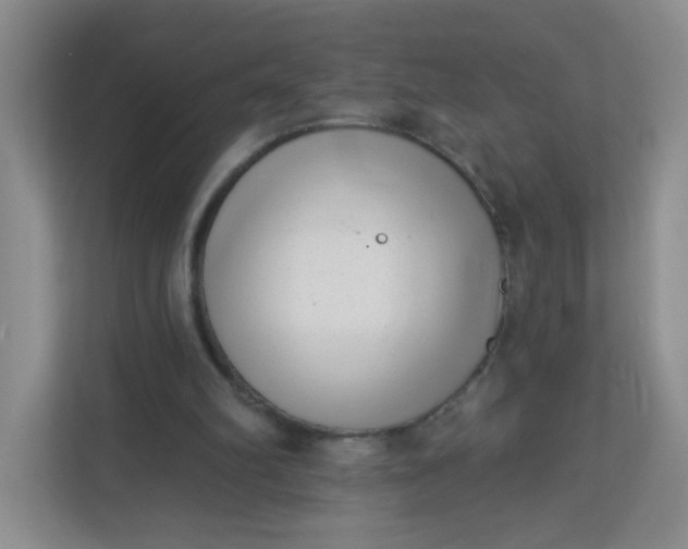 X0000113320102200909281215