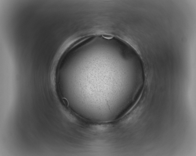 X0000113320103200909281215