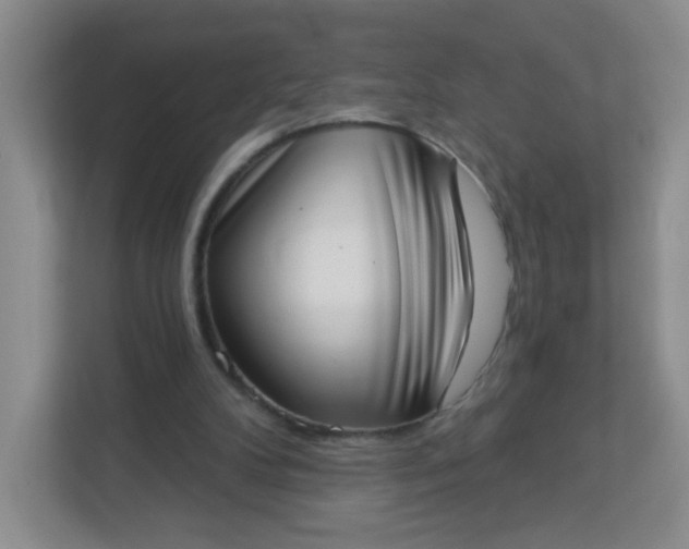 X0000113320104200909281215