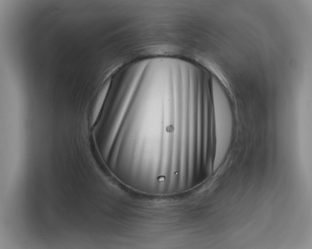 X0000113320105200909281215