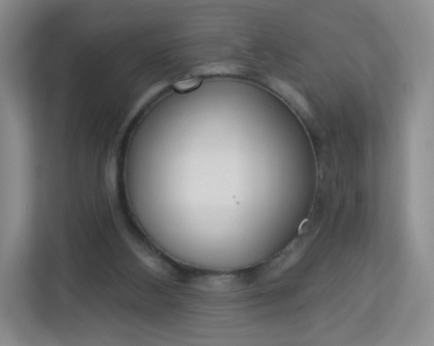 X0000113320108200909281215