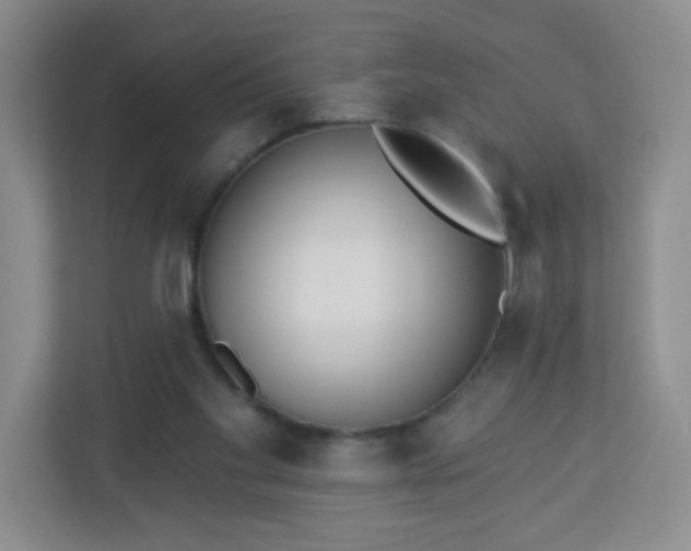 X0000113320109200909281215