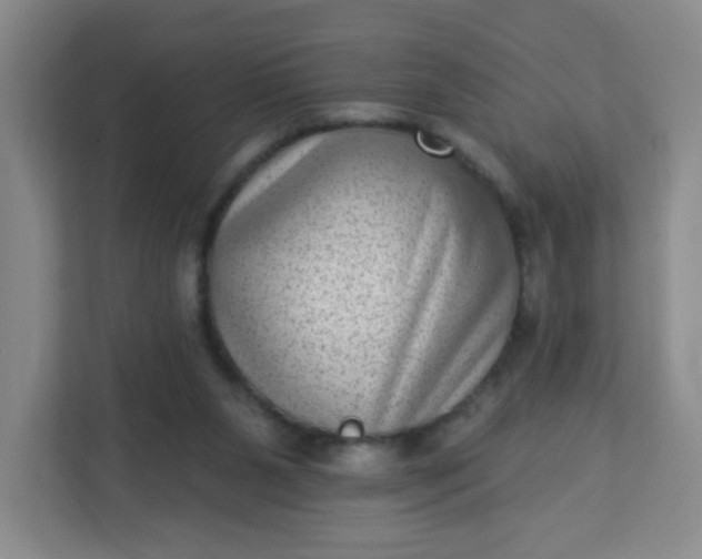 X0000113320111200909281215