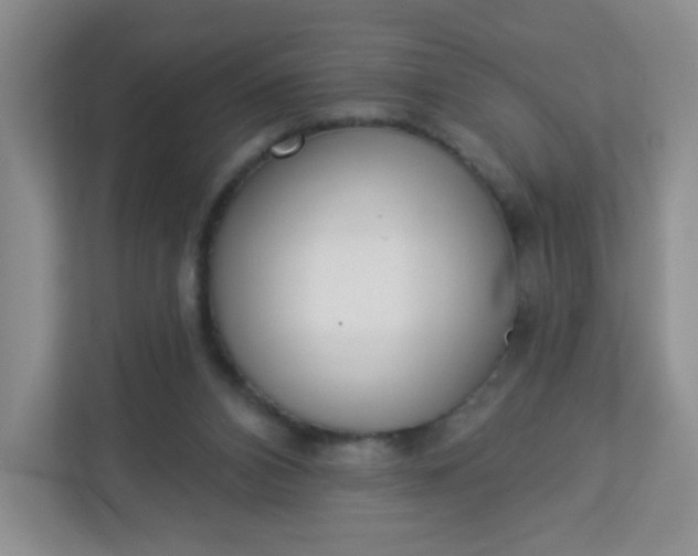 X0000113320112200909281215