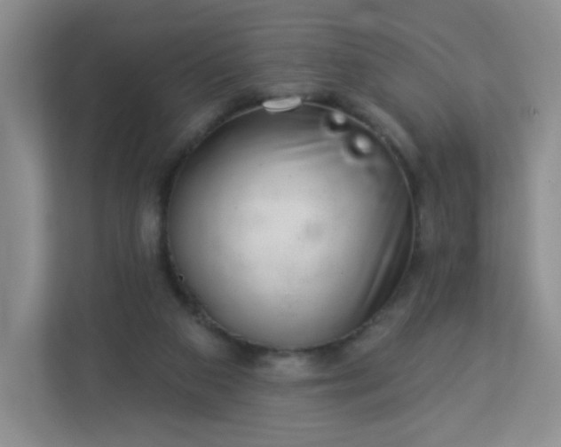 X0000113320113200909281215