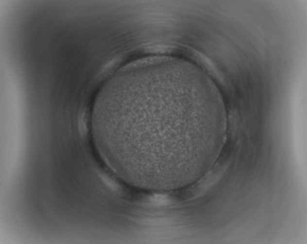 X0000113320114200909281215