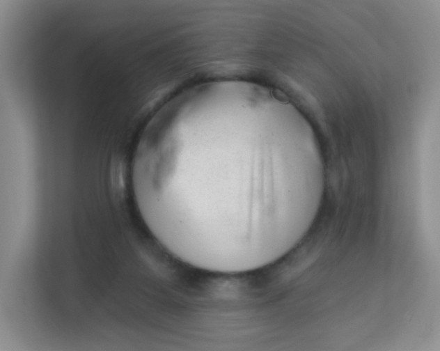 X0000113320115200909281215