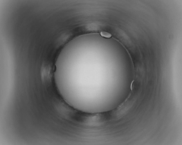 X0000113320116200909281215