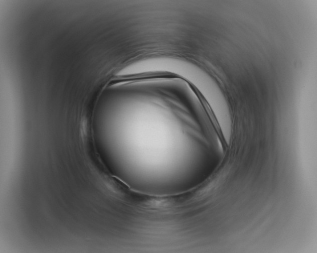 X0000113320117200909281215