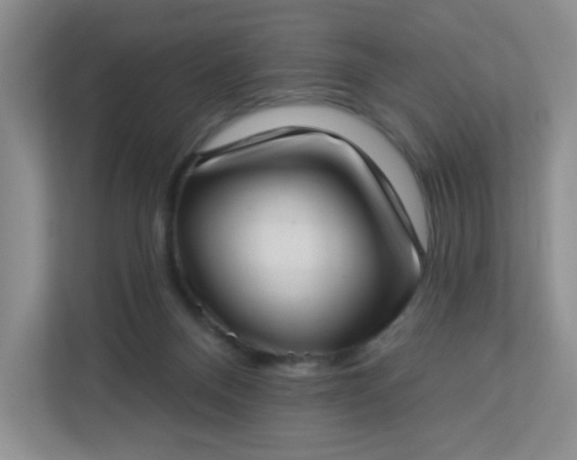 X0000113320120200909281215