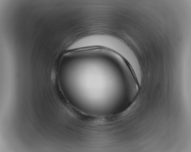 X0000113320124200909281215