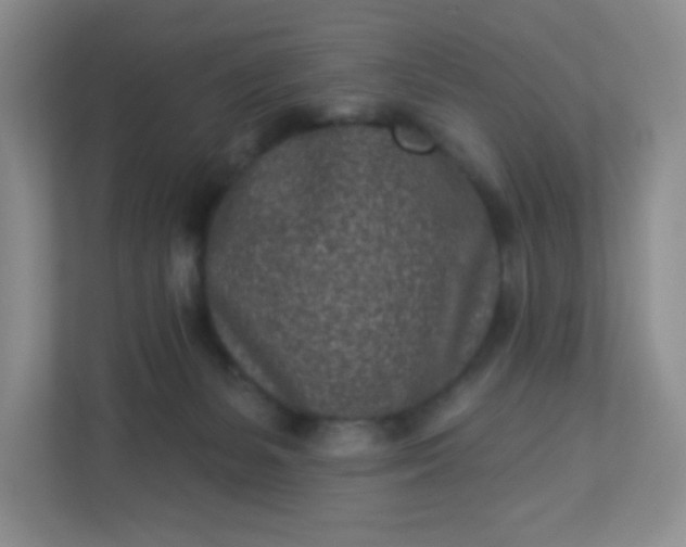 X0000113320127200909281215