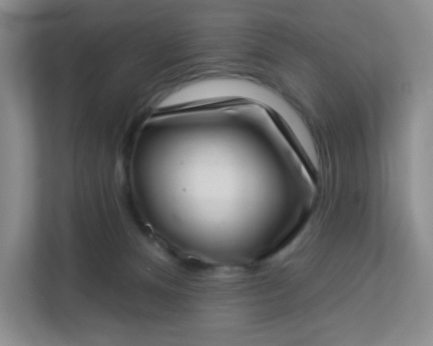 X0000113320128200909281215