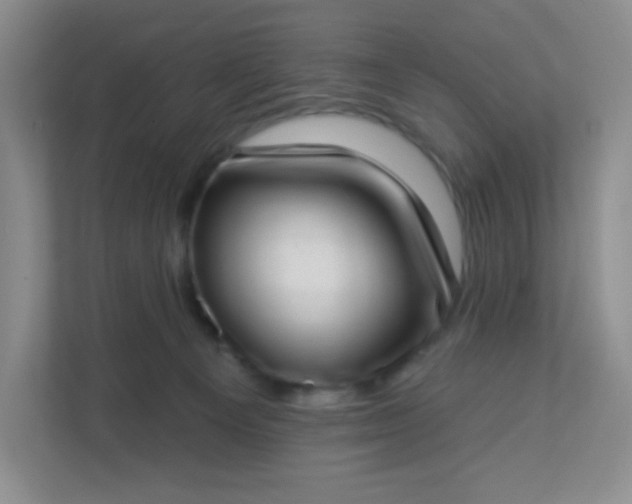 X0000113320129200909281215