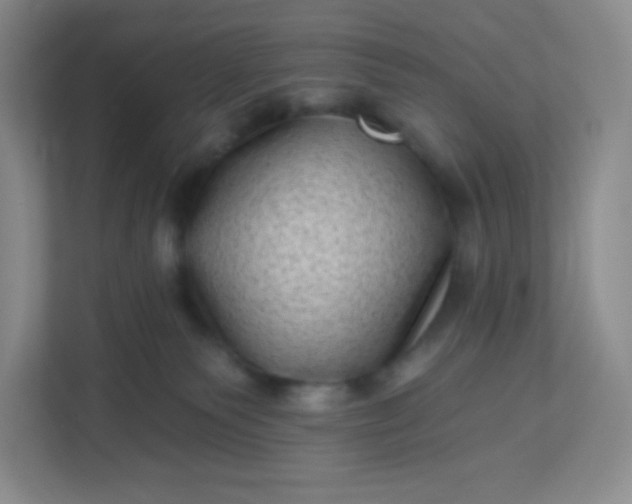 X0000113320135200909281215