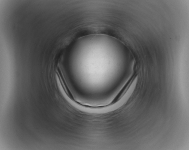 X0000113320137200909281215