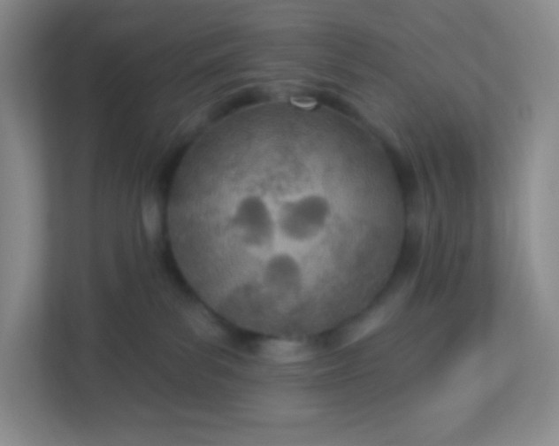 X0000113320139200909281215