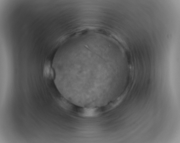 X0000113320143200909281215