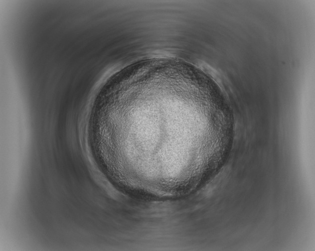 X0000113320145200909281214