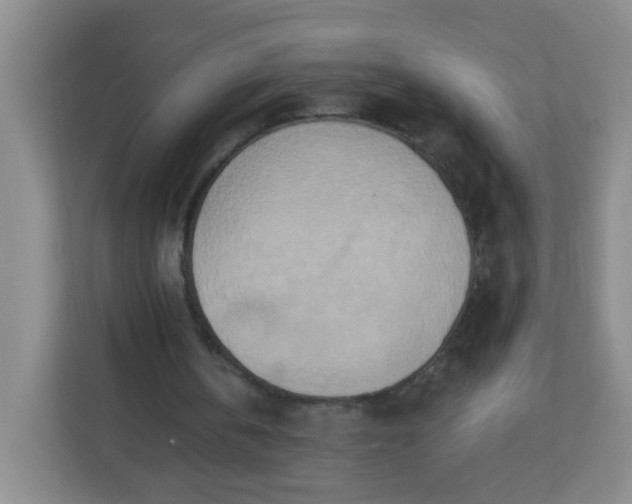 X0000113320146200909281214