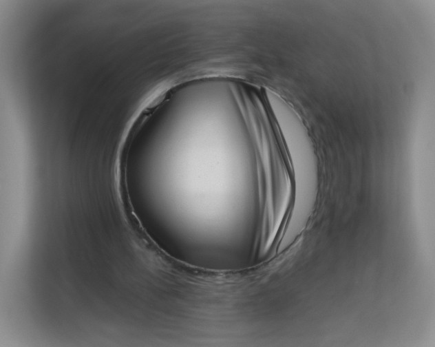 X0000113320148200909281214