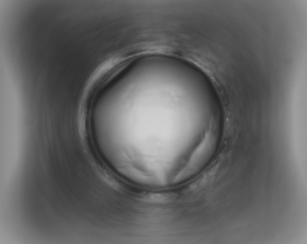 X0000113320149200909281214