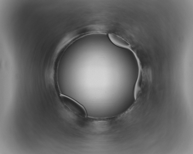 X0000113320150200909281214