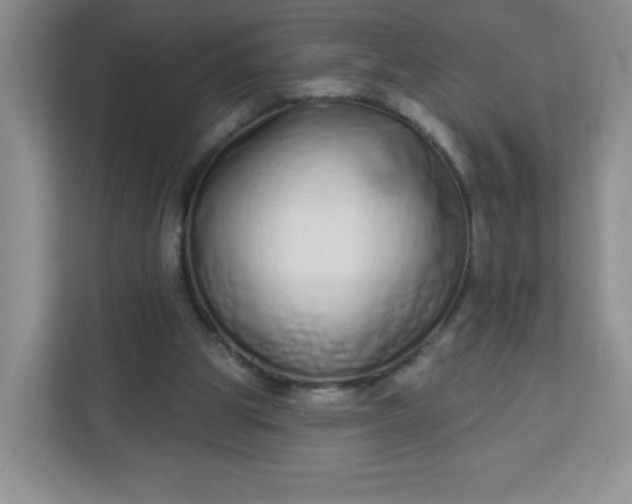 X0000113320153200909281214