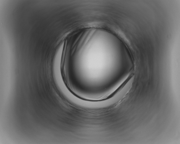 X0000113320154200909281214