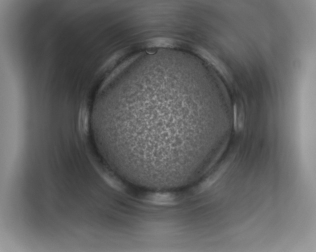 X0000113320157200909281214