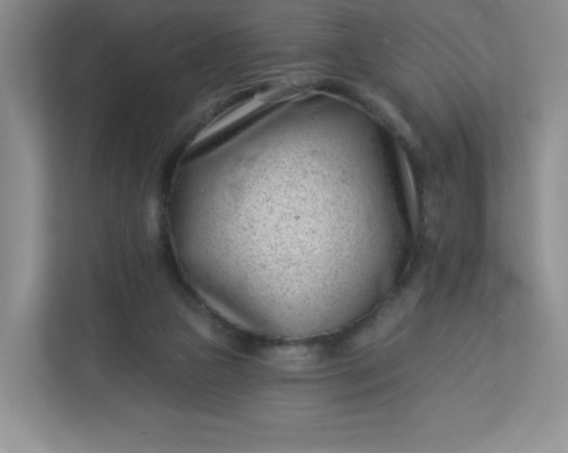 X0000113320161200909281214