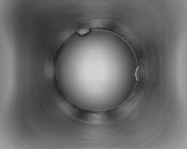 X0000113320164200909281214