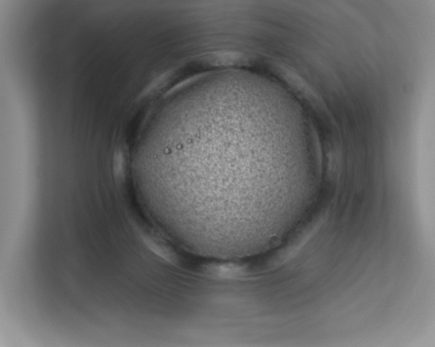 X0000113320165200909281214