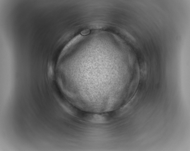 X0000113320166200909281214