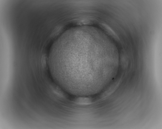 X0000113320169200909281215